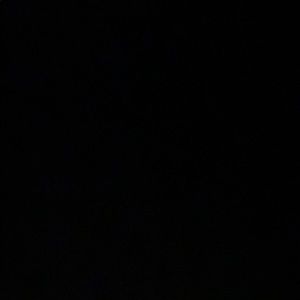 Meet your Posher, Damien